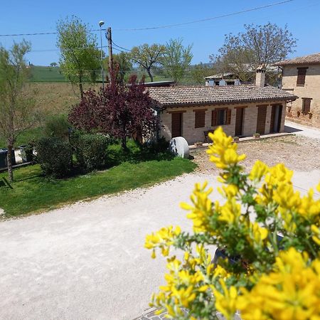 Agriturismo Il Borghetto Montefalco Eksteriør billede