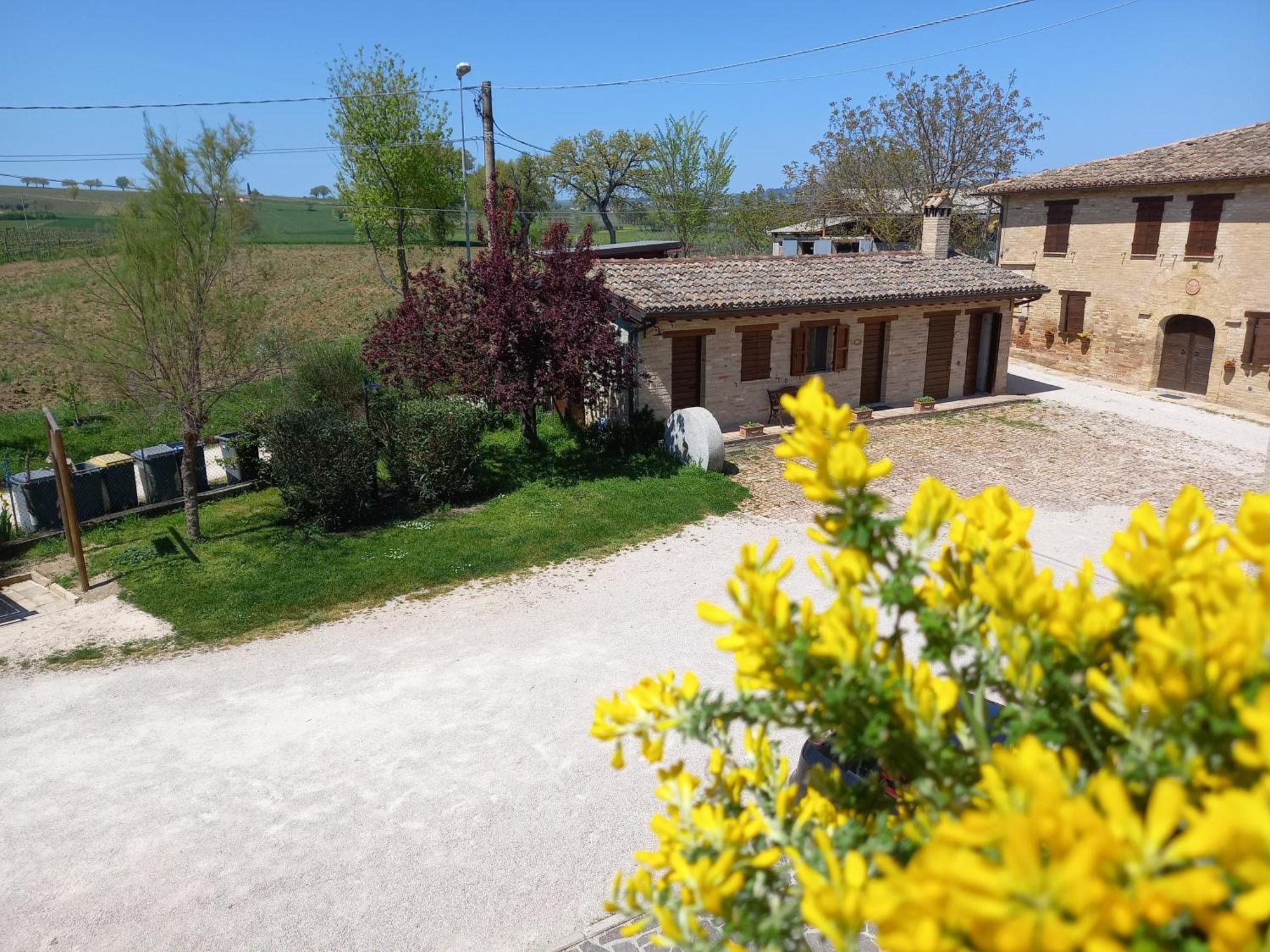 Agriturismo Il Borghetto Montefalco Eksteriør billede